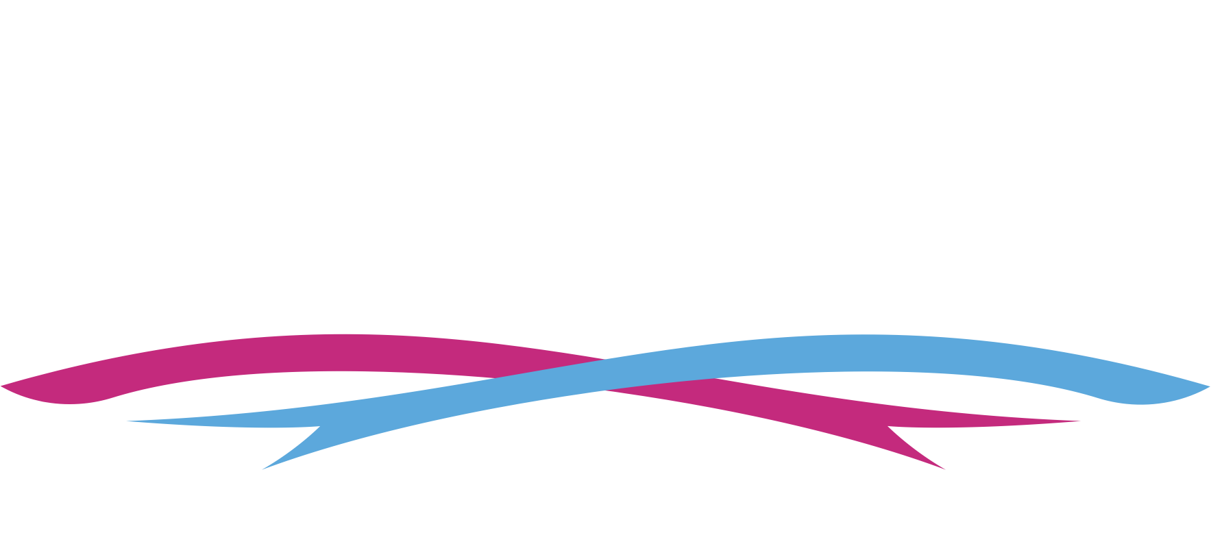 New York Endovascular Summit
